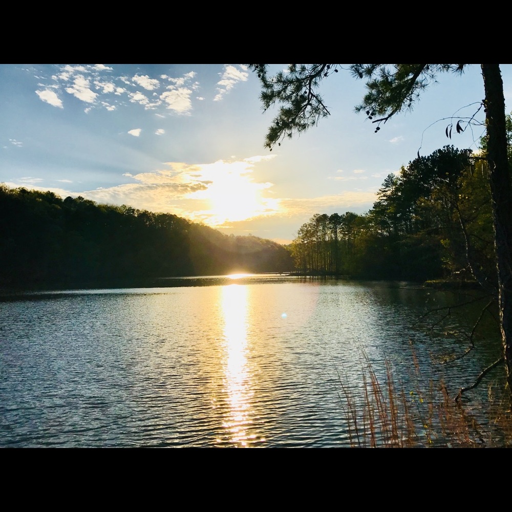 Meet your Posher, Paula